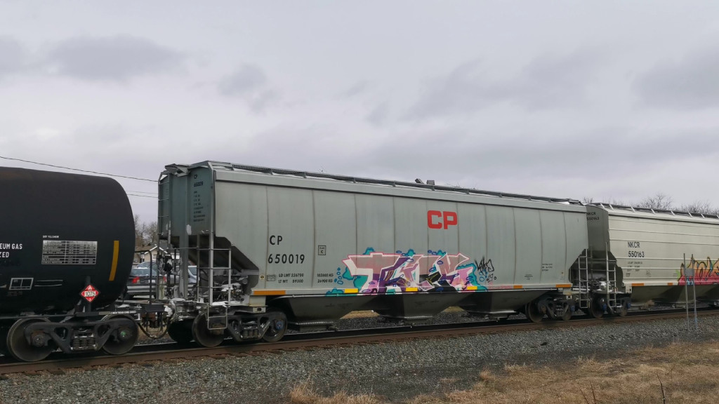 CP 650019